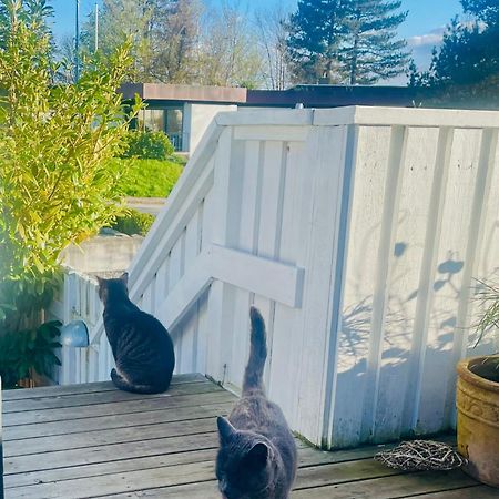 Cool Familyhome Close To The Beach W Two Cuddly Cats Espergærde Екстериор снимка