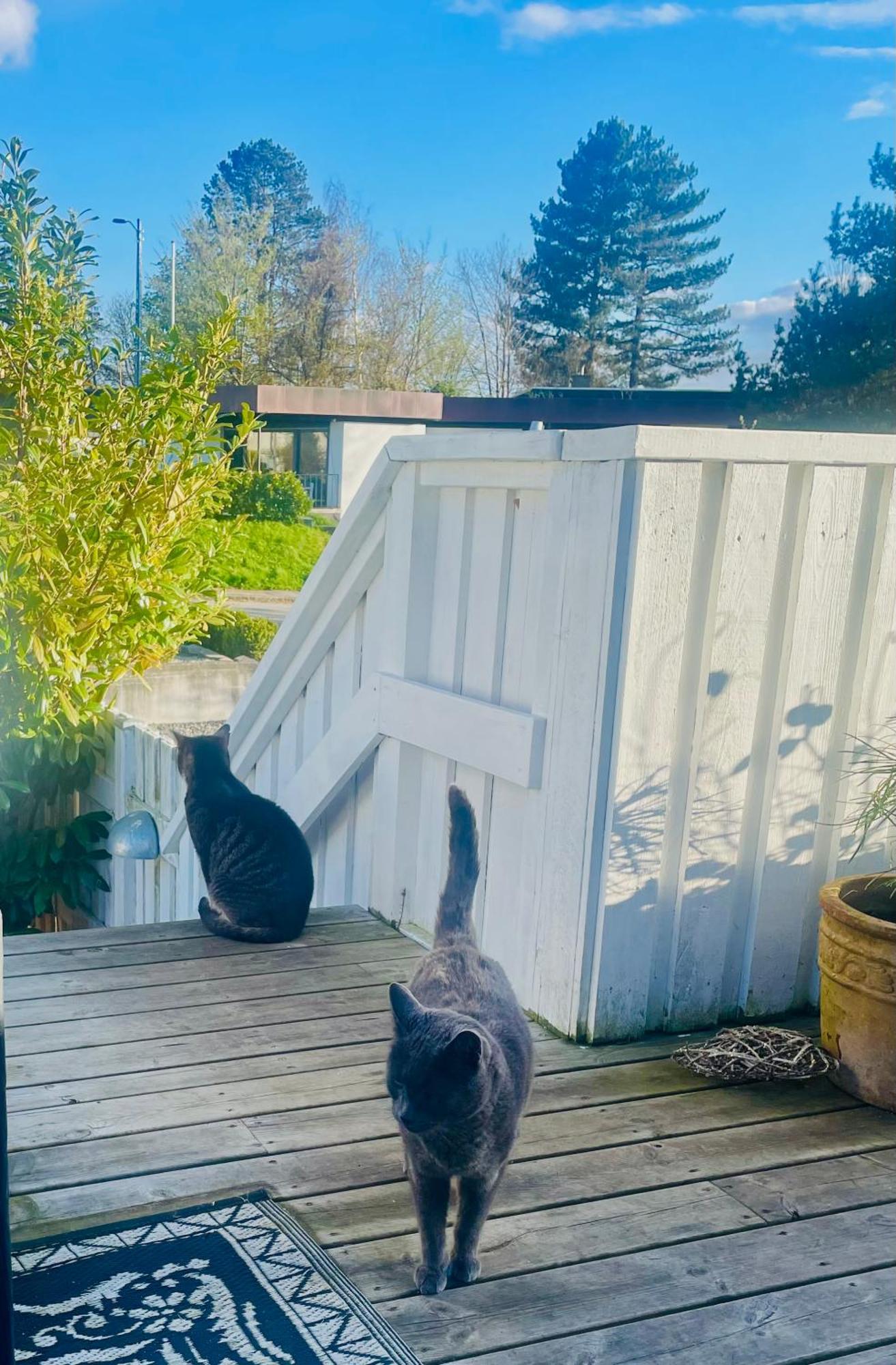 Cool Familyhome Close To The Beach W Two Cuddly Cats Espergærde Екстериор снимка